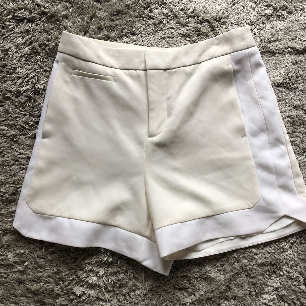 ZARA DRESSY SHORTS